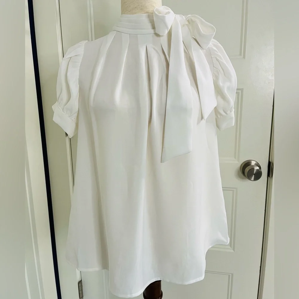 Gracia Pleated Blouse - Picture 5 of 11